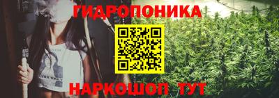 гидропоника Гагарин